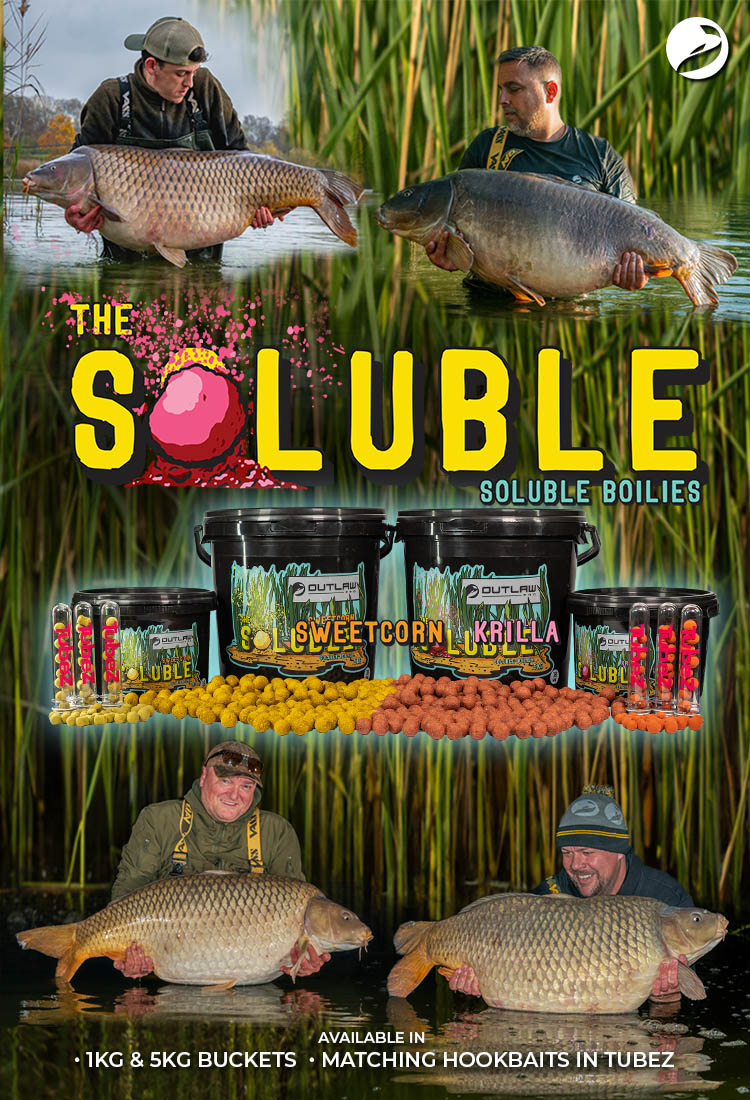 Solubles Launch 